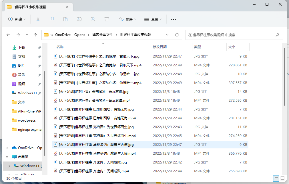 世界杯往事天下足球视频收集-爱搜资源网